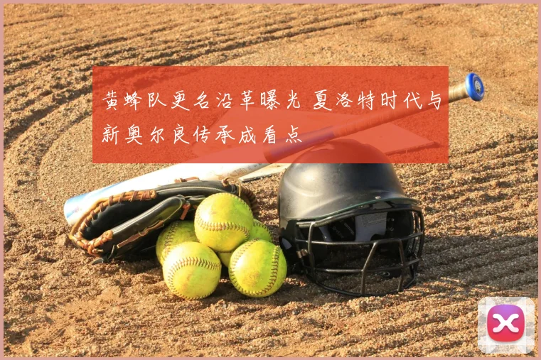 黄蜂队更名沿革曝光 夏洛特时代与新奥尔良传承成看点