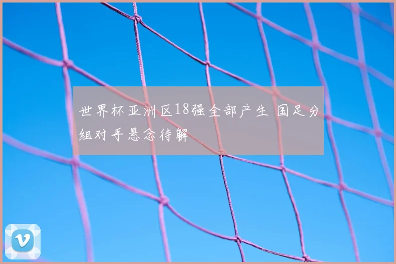 世界杯亚洲区18强全部产生 国足分组对手悬念待解