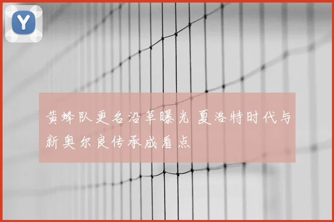 黄蜂队更名沿革曝光 夏洛特时代与新奥尔良传承成看点