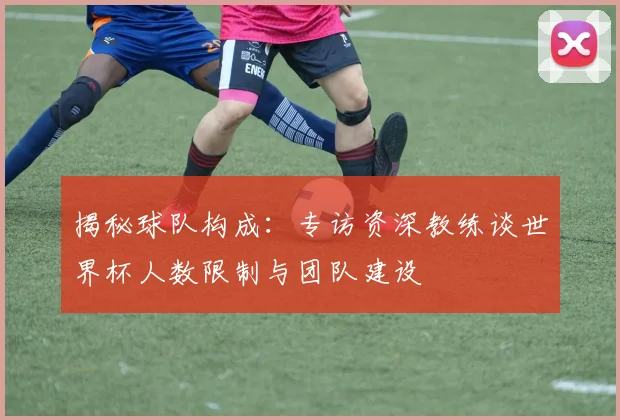揭秘球队构成：专访资深教练谈世界杯人数限制与团队建设