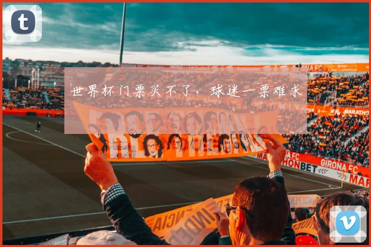 世界杯门票买不了，球迷一票难求