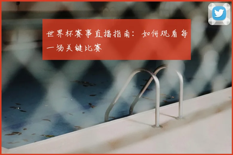 世界杯赛事直播指南:如何观看每一场关键比赛