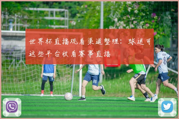 世界杯直播观看渠道整理:球迷可这些平台收看赛事直播