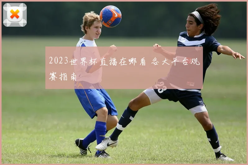 2023世界杯直播在哪看 各大平台观赛指南