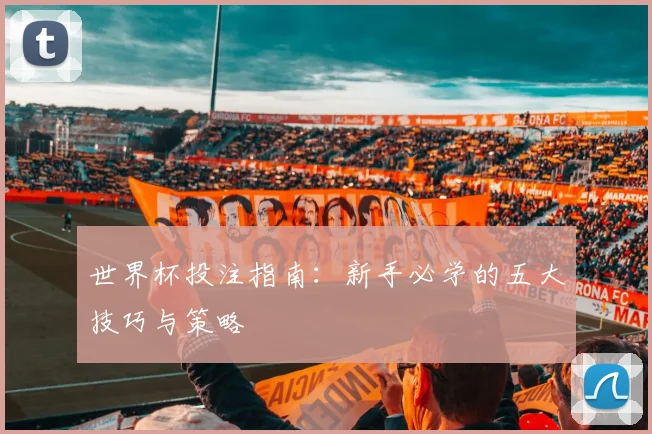 世界杯投注指南:新手必学的五大技巧与策略