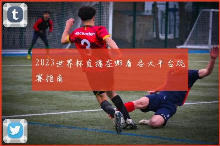 2023世界杯直播在哪看 各大平台观赛指南