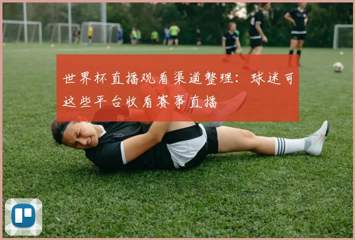 世界杯直播观看渠道整理:球迷可这些平台收看赛事直播