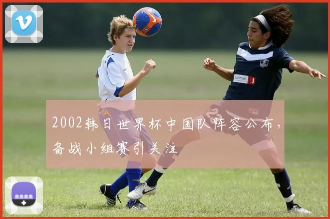 2002韩日世界杯中国队阵容公布,备战小组赛引关注