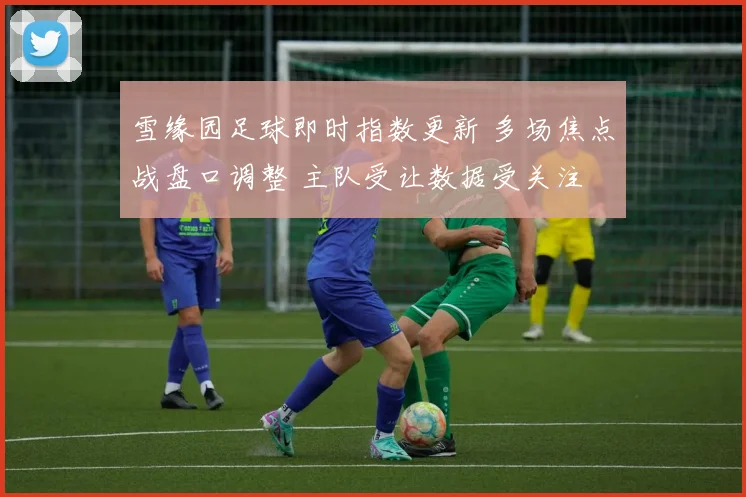 雪缘园足球即时指数更新 多场焦点战盘口调整 主队受让数据受关注