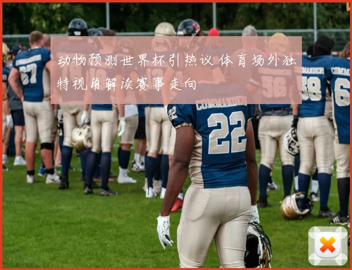 动物预测世界杯引热议 体育场外独特视角解读赛事走向