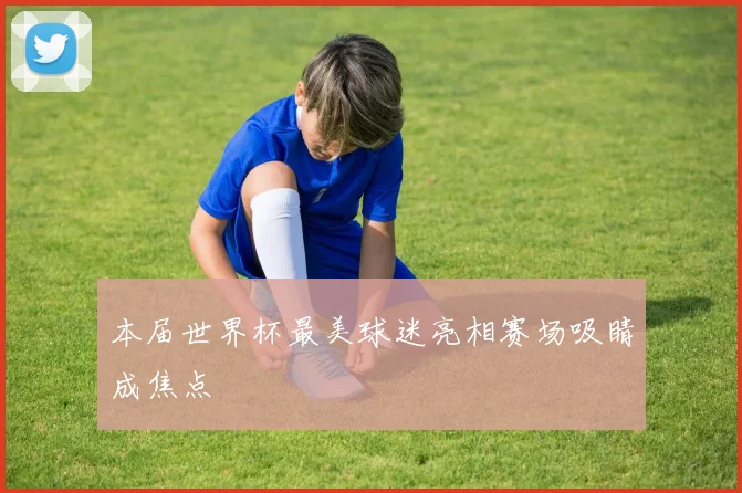 本届世界杯最美球迷亮相赛场吸睛成焦点